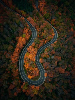 Stunning aerial shot of a winding road through vibrant autumn foliage in a forest.