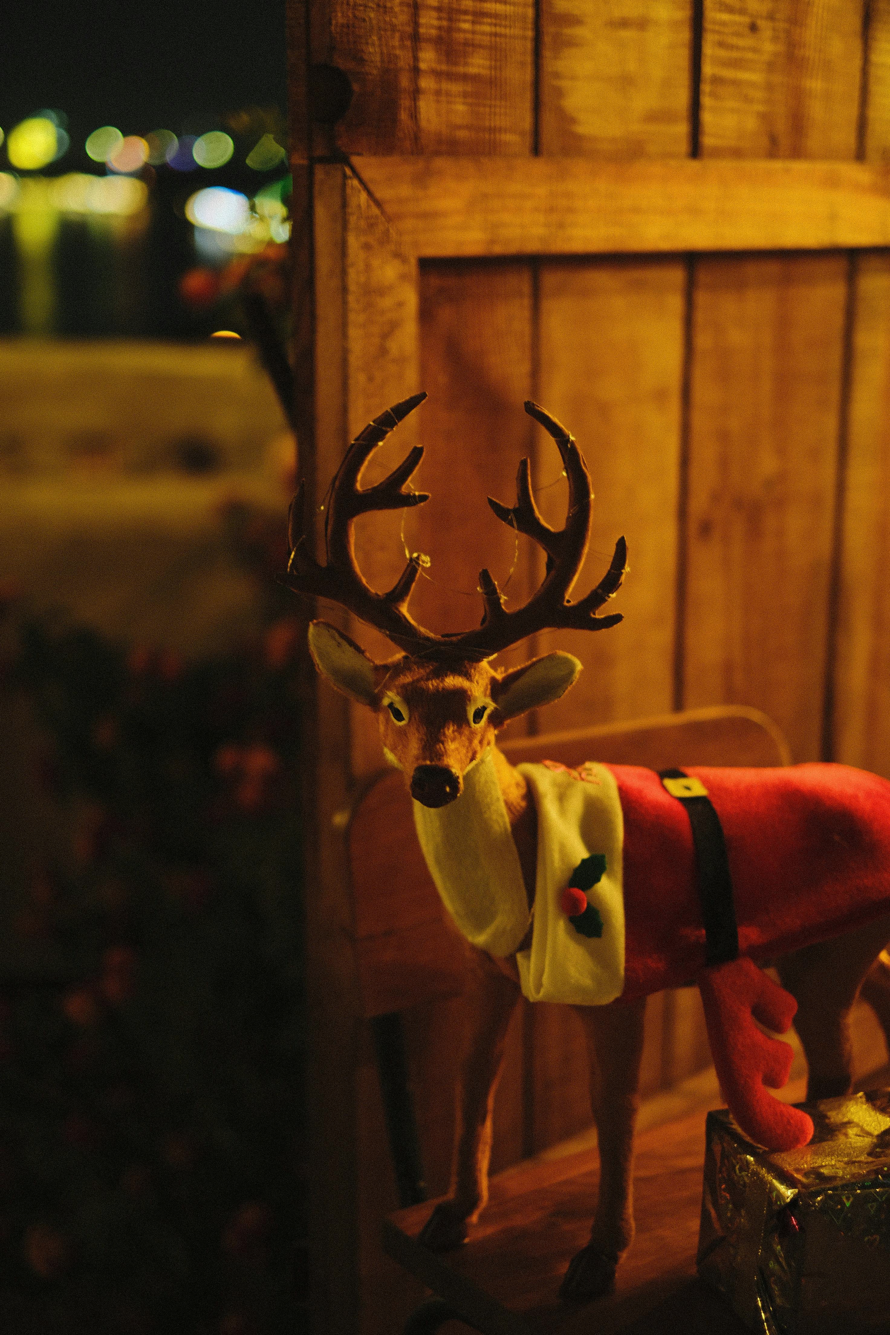 grátis Foto profissional grátis de @exterior, acessório, acolhedor Foto profissional