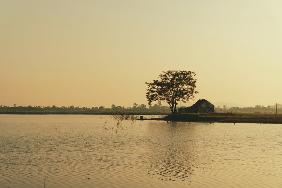 Serene rural sunrise over a calm lake with a lone tree and house reflecting in the water.