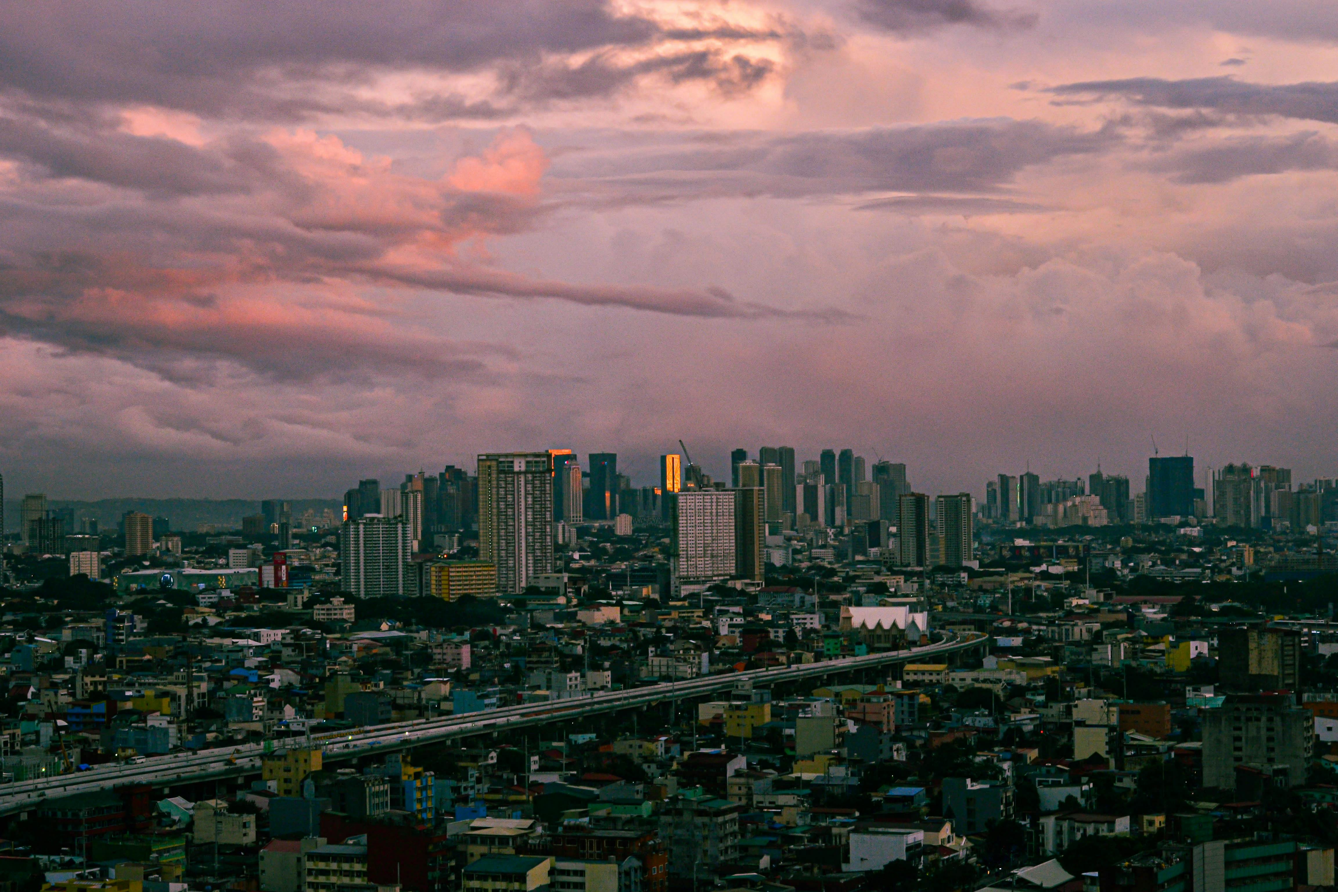 City’s public-opinion poll under way — Photo by Bear Galindez on Pexels
