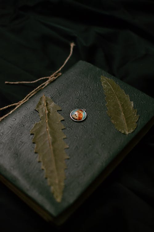 Leaves on Book Cover