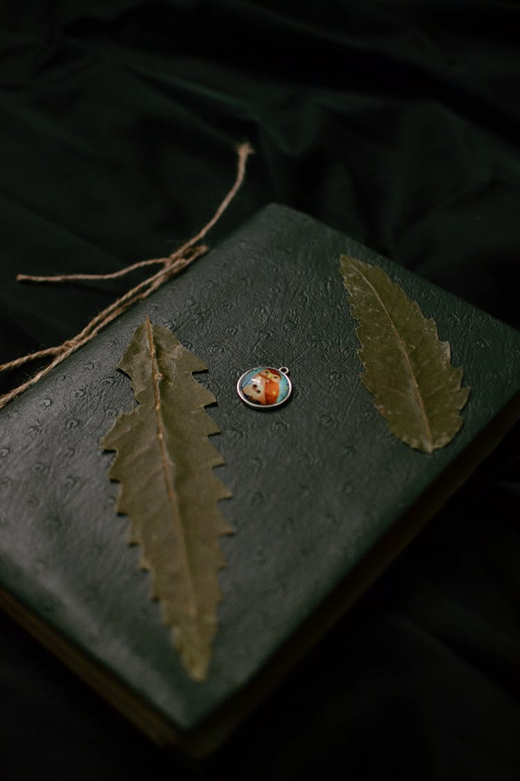 Leaves On Book Cover