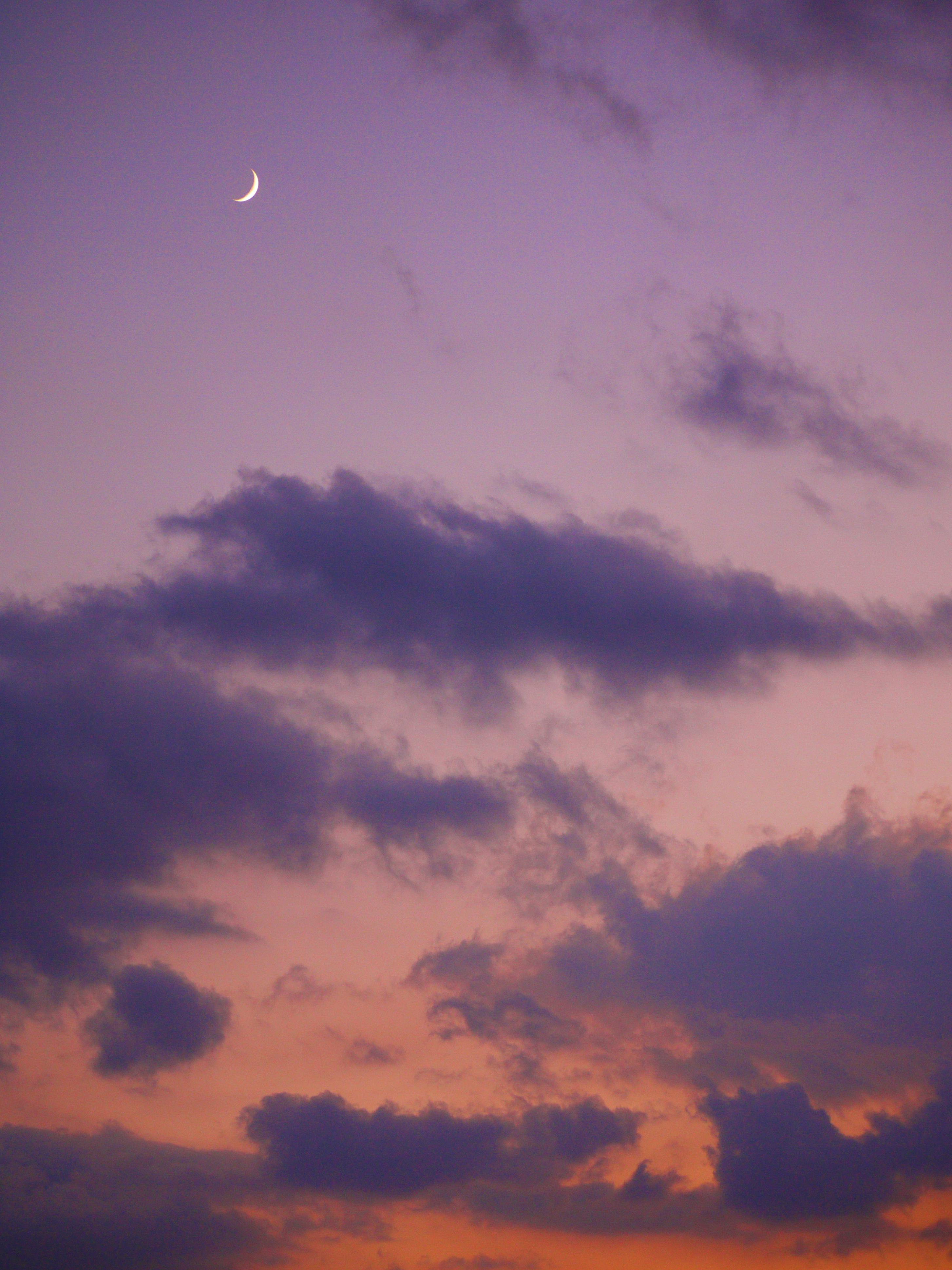 Clouds in a Pink Sky 