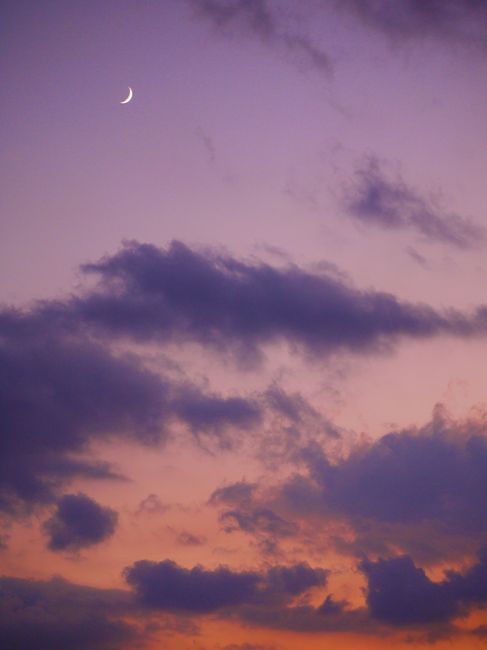 Clouds in a Pink Sky