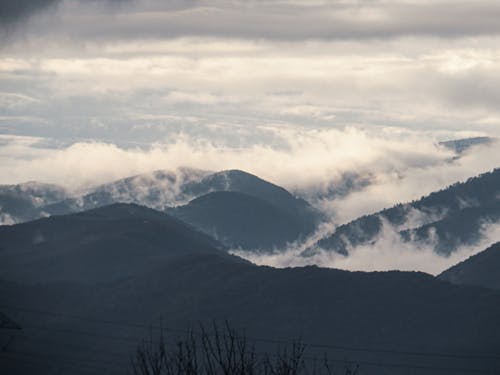 Fotos de stock gratuitas de @al aire libre, adulto, con niebla