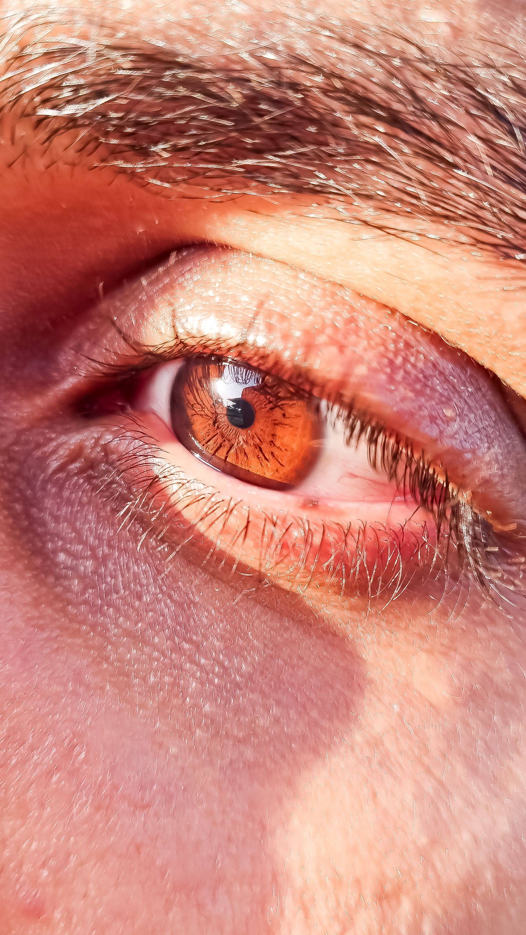 Detailed close-up of a brown human eye with visible texture in sunlight.