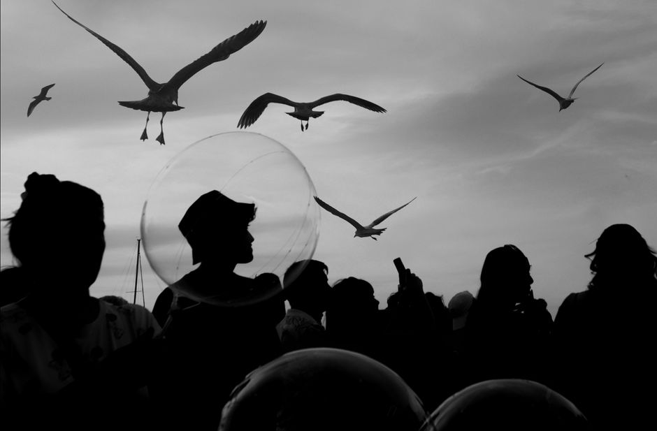 Silhouette of people with seagulls flying above, creating a dynamic scene against the sky.