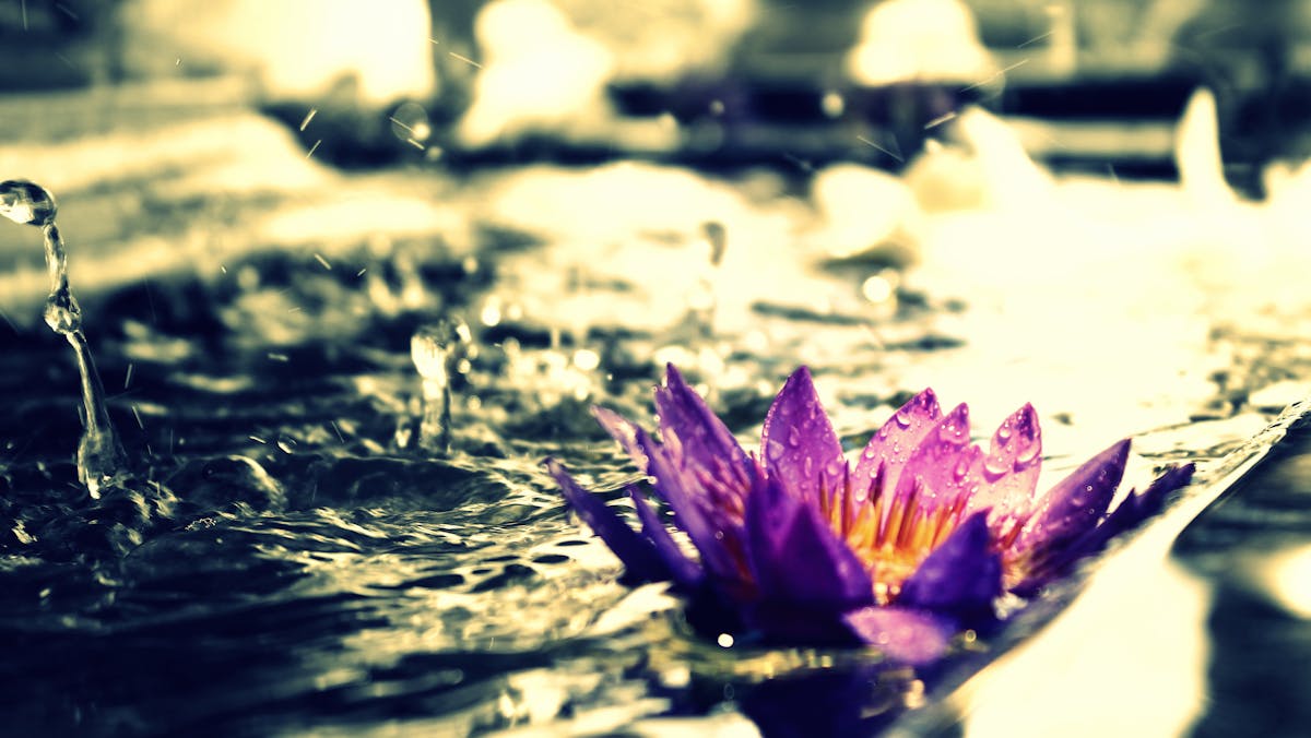 Pile of discarded electronic circuit boards symbolizing e-waste