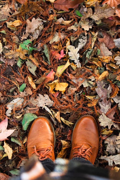 Shoes on Autumn Leaves