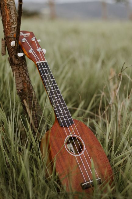 Close-up of a wooden ukulele leaning against a tree in a grass field, São Paulo.