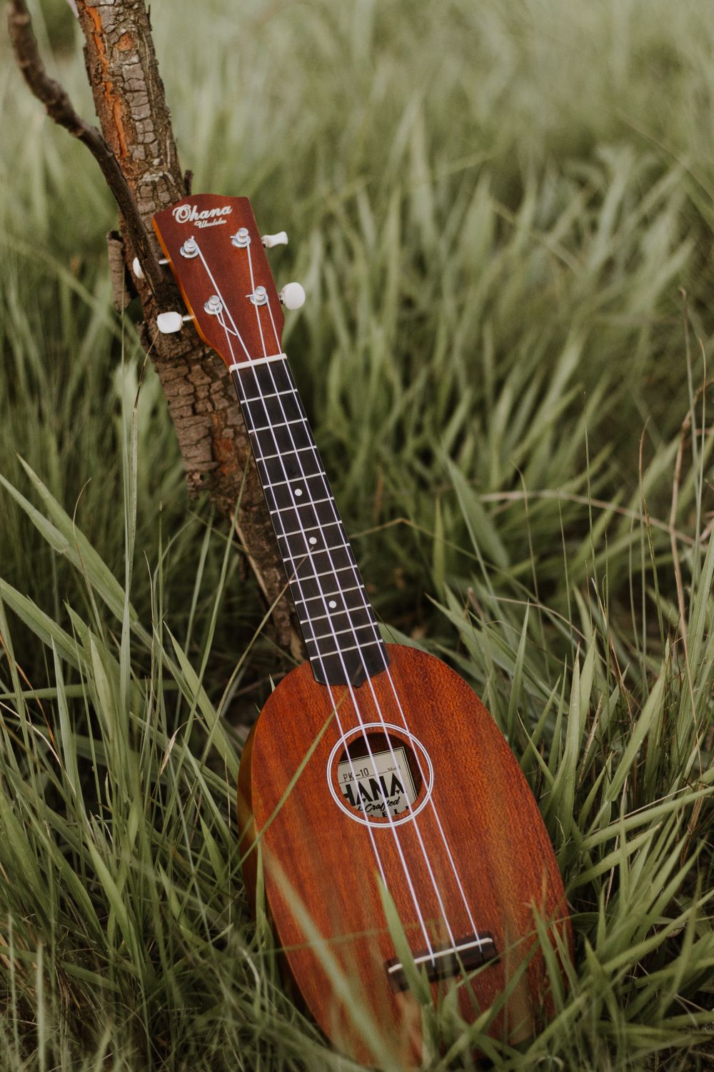 Foto de stock gratuita sobre actuación musical, afición, al aire libre ...