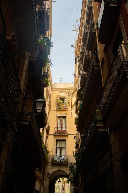Free stock photo of barcelona, city street, gothic architecture