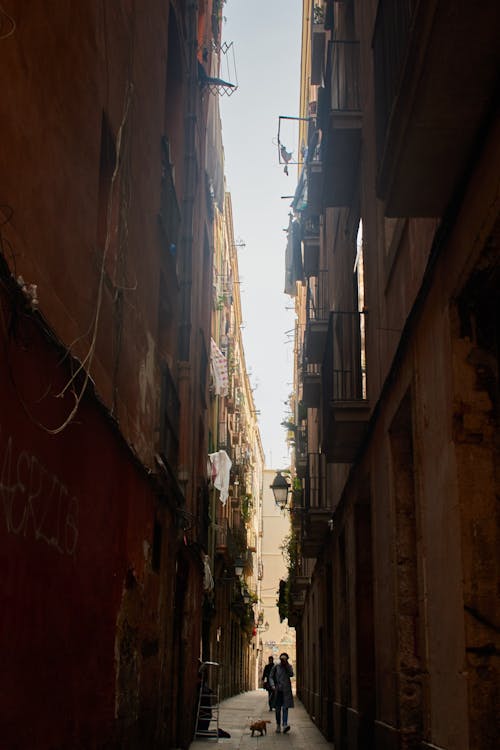 Free stock photo of barcelona, city street, contrast