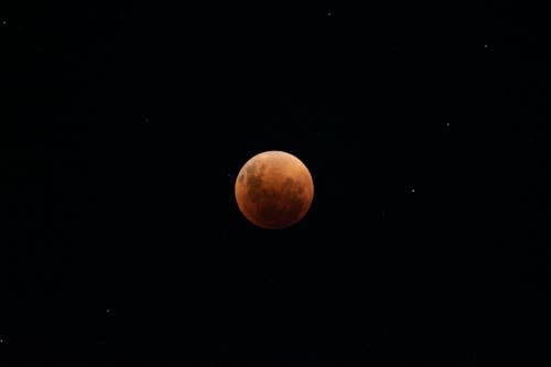Immagine gratuita di cielo notturno, eclissi lunare, luna piena