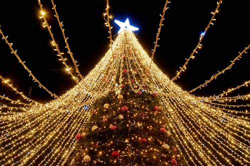 Christmas Tree Illuminated at Night