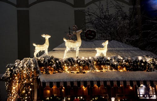 Fotos de stock gratuitas de decoración, iluminado, invierno