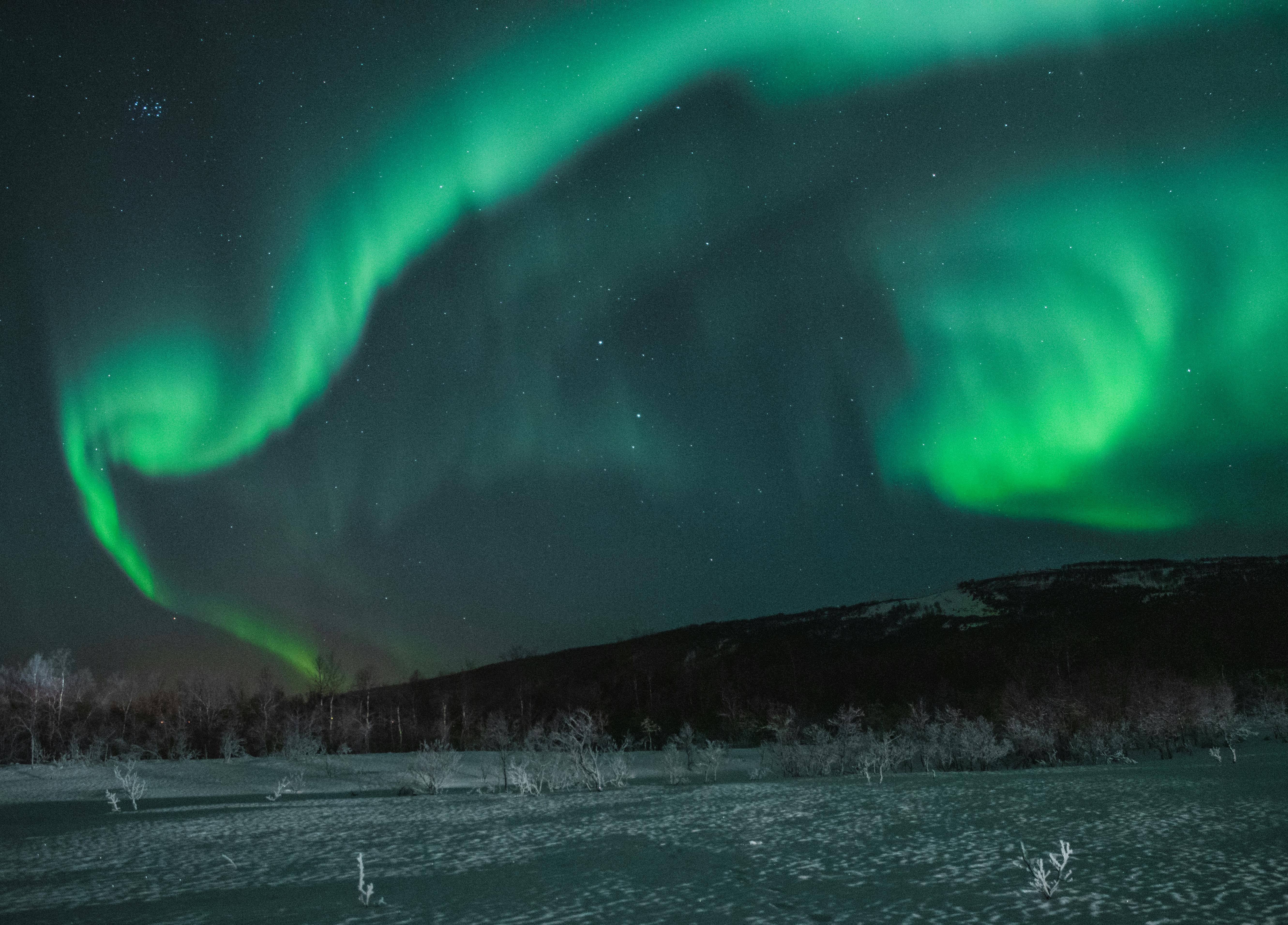 Free stock photo of aurora, aurora borealis, dark green