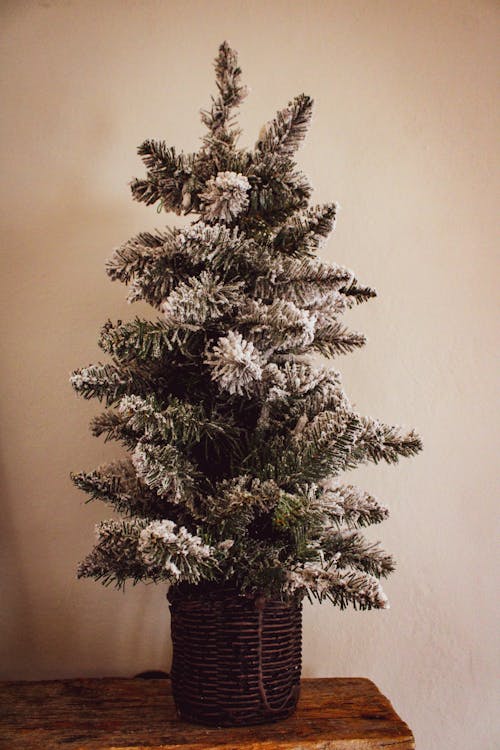Бесплатное стоковое фото с новогодний фон, рождественская елка, рождество