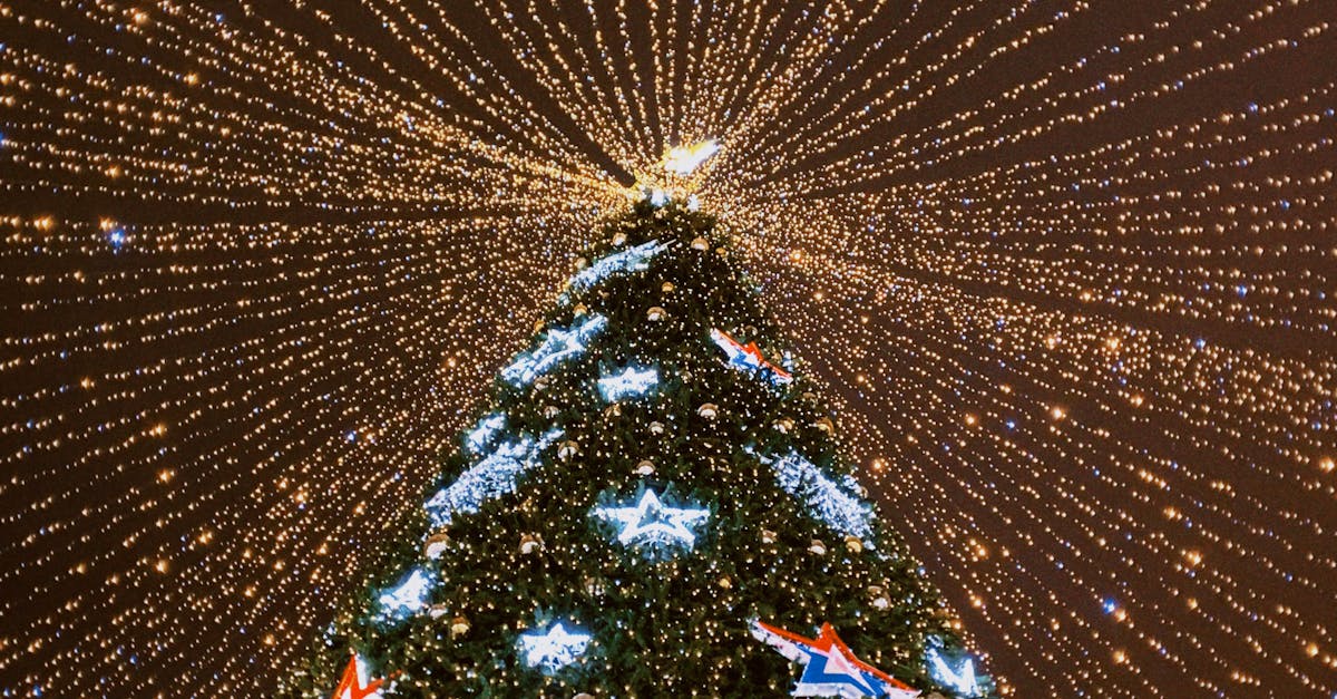 Christmas Tree with Light Ornaments and String Lights Decoration · Free ...