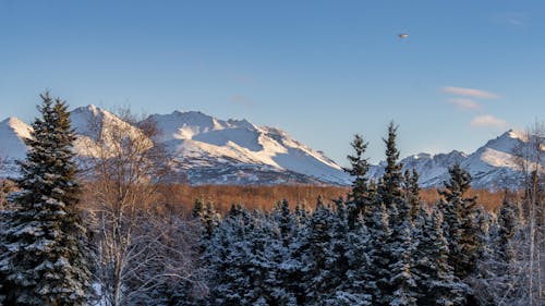 бесплатная Бесплатное стоковое фото с горный хребет, горы, зима Стоковое фото