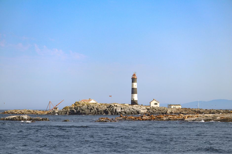 Amatignak Island, USA - travel photo