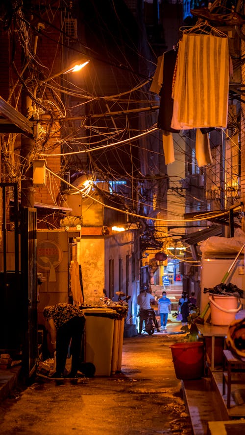 Foto profissional grátis de alameda, cabos, emaranhado