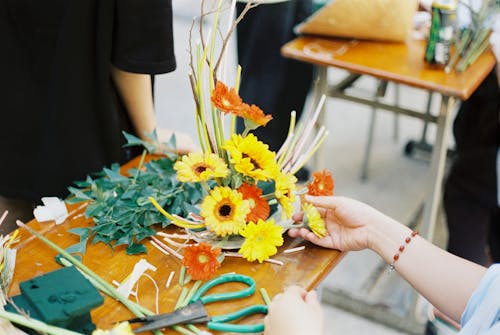 Kostnadsfri bild av anläggning, blommor, bukett