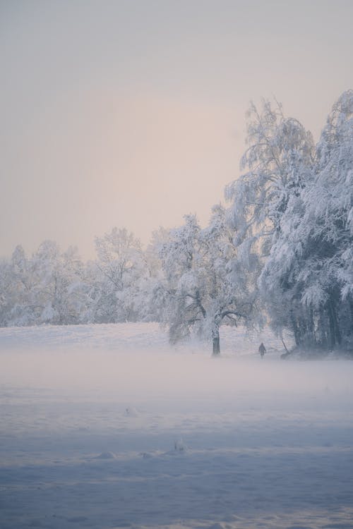 Kostnadsfri bild av 4k tapeter, jul, kall