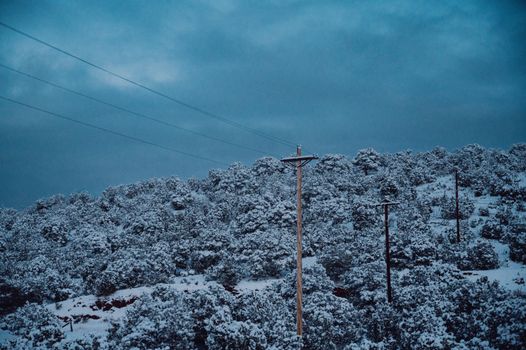 Serene winter landscape with snow-covered trees and power lines under an overcast sky.