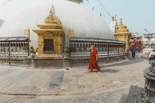 걷고 있는, 남자, 불교의의 무료 스톡 사진