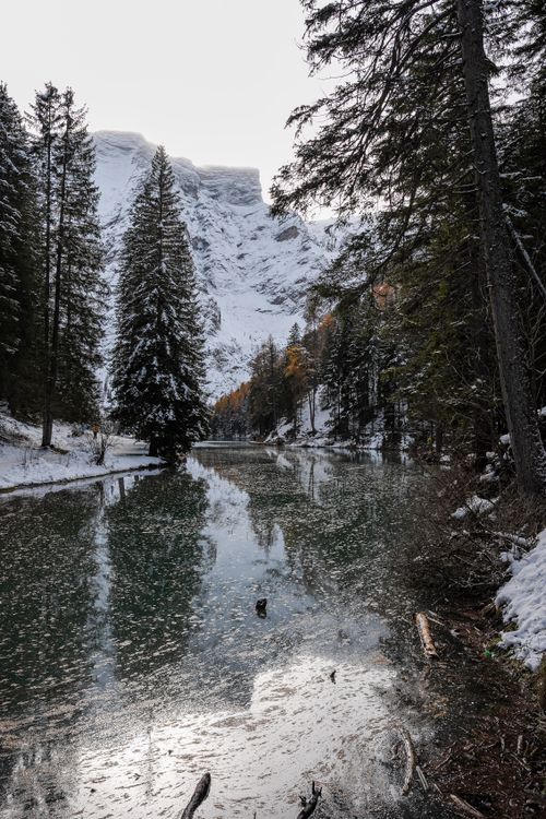 Free A tranquil winter river flows through a snowy evergreen forest with majestic mountains in the background. Stock Photo