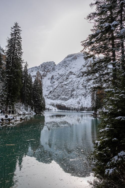 Free Serene winter landscape of a snowy lake surrounded by evergreen trees. Stock Photo