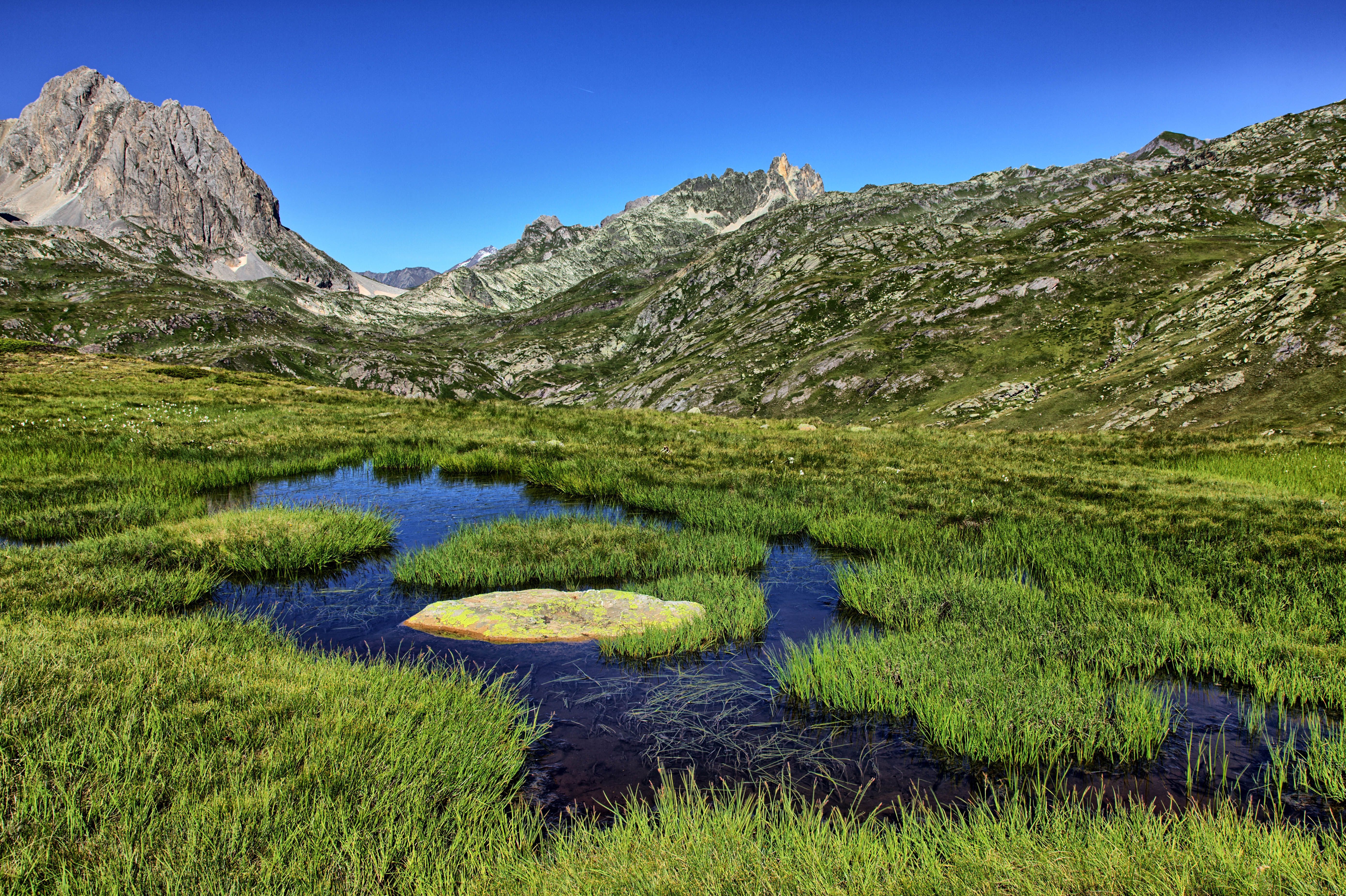 Rushes on Lake in Valley in Mountains · Free Stock Photo