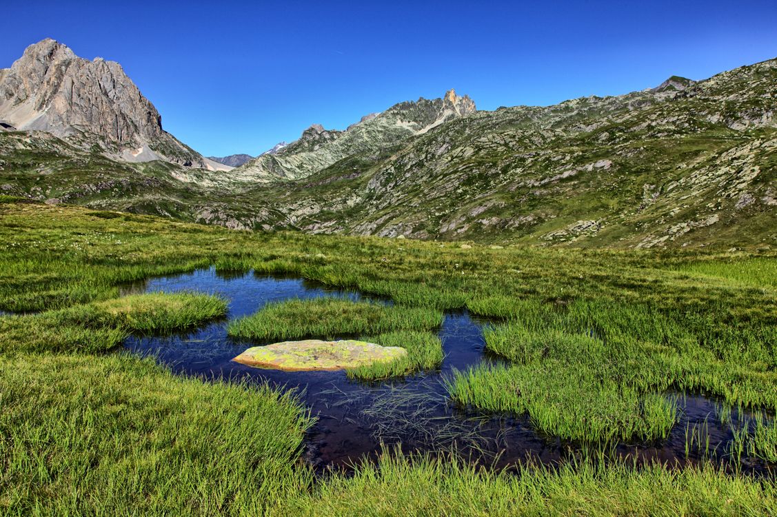 Lake Rushes Rushes on Lake in Valley in Mountains · Free Stock Photo