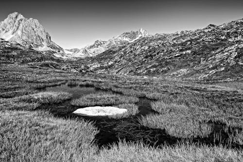 Kostenloses Stock Foto zu außerorts, berge, binsen