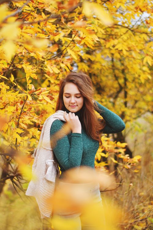 Free A young woman enjoying a serene walk through a golden autumn forest, surrounded by vibrant yellow leaves. Stock Photo