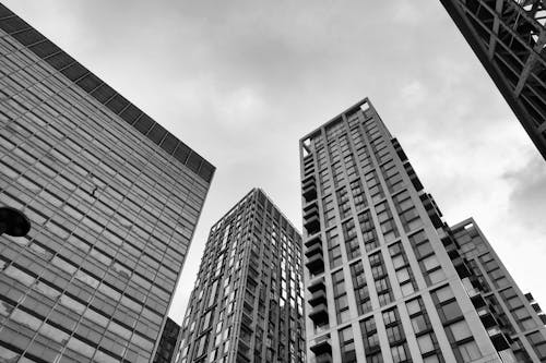 Skyscrapers in Black and White