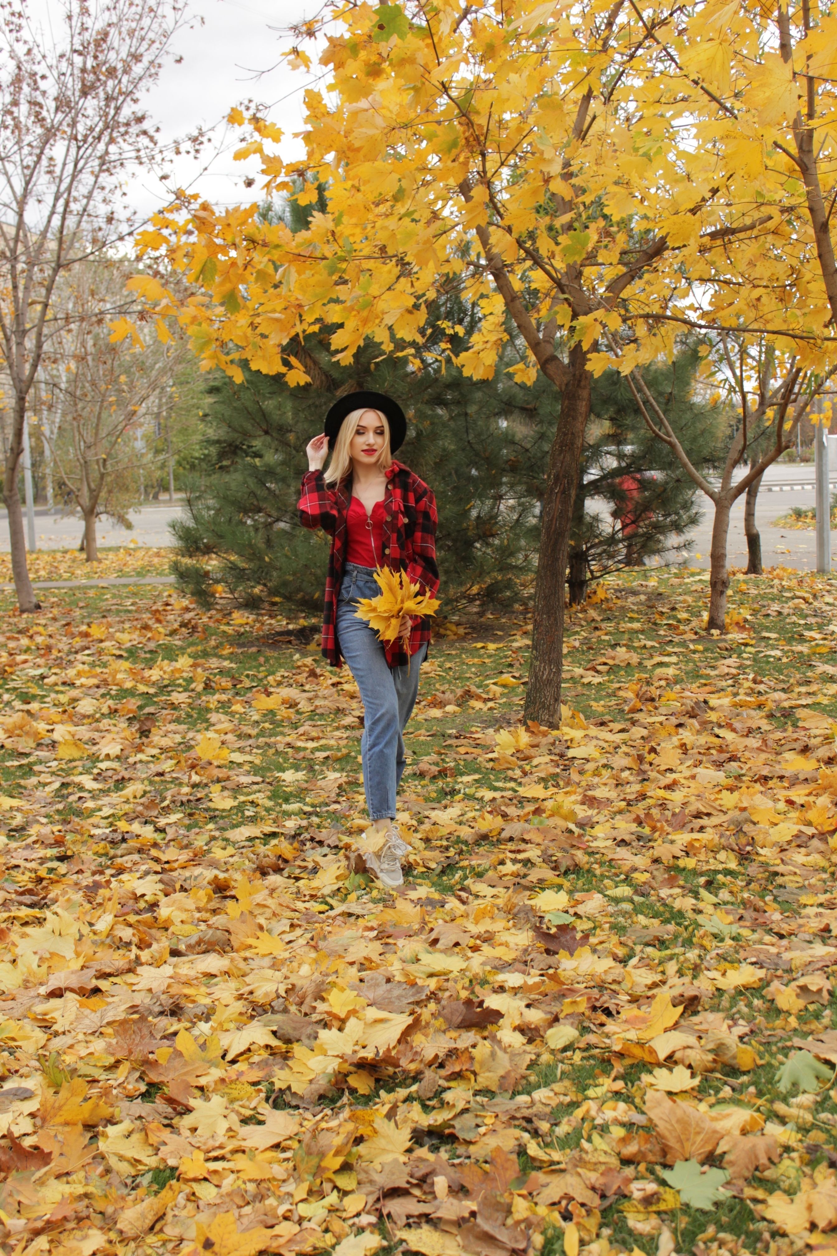 A woman in a plaid shirt and jeans is walking through the leaves · Free ...