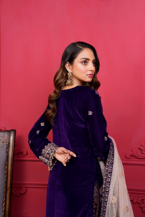 Free Elegant portrait of a young woman in embroidered South Asian dress, showcasing cultural fashion. Stock Photo