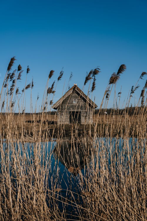 Základová fotografie zdarma na téma klid, řeka, rustikální