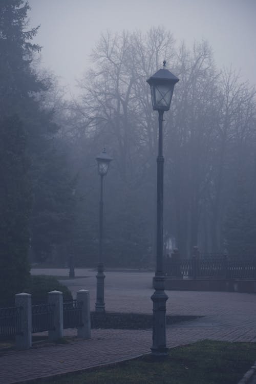 Free View of Lanterns and Trees in a Park in Fog  Stock Photo