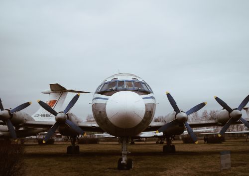 Free Front view of a vintage Soviet-era propeller airplane outdoors in an open-air museum setting. Stock Photo