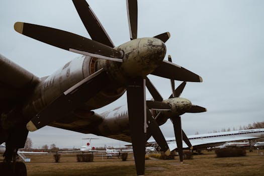 Close-up of vintage propeller airplane in outdoor museum setting showing intricate details.