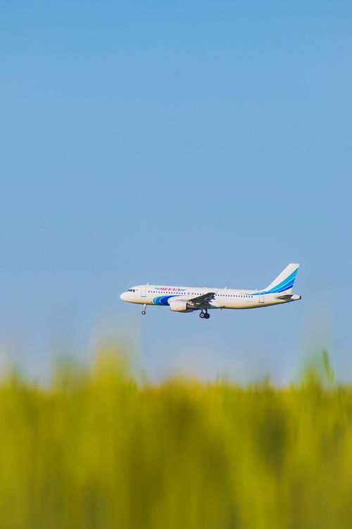 Free Airplane soaring above a grassy field under a clear blue sky, symbolizing travel and adventure. Stock Photo