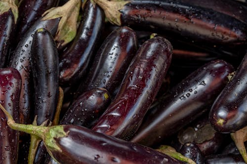 Heap of Eggplants