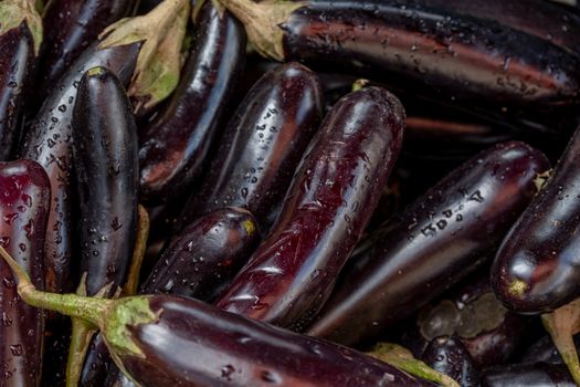Close-up of fresh eggplants with water drops, showcasing their dark purple color and texture.