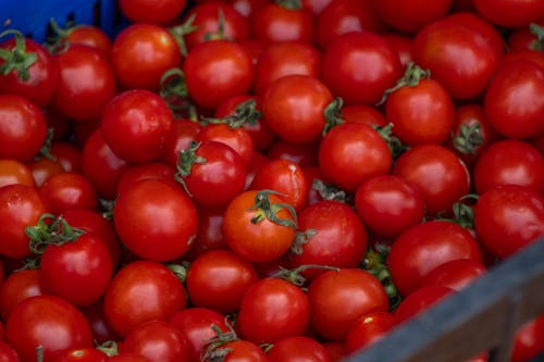 Heap of Tomatoes