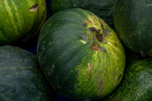 Close up of Green Watermelon