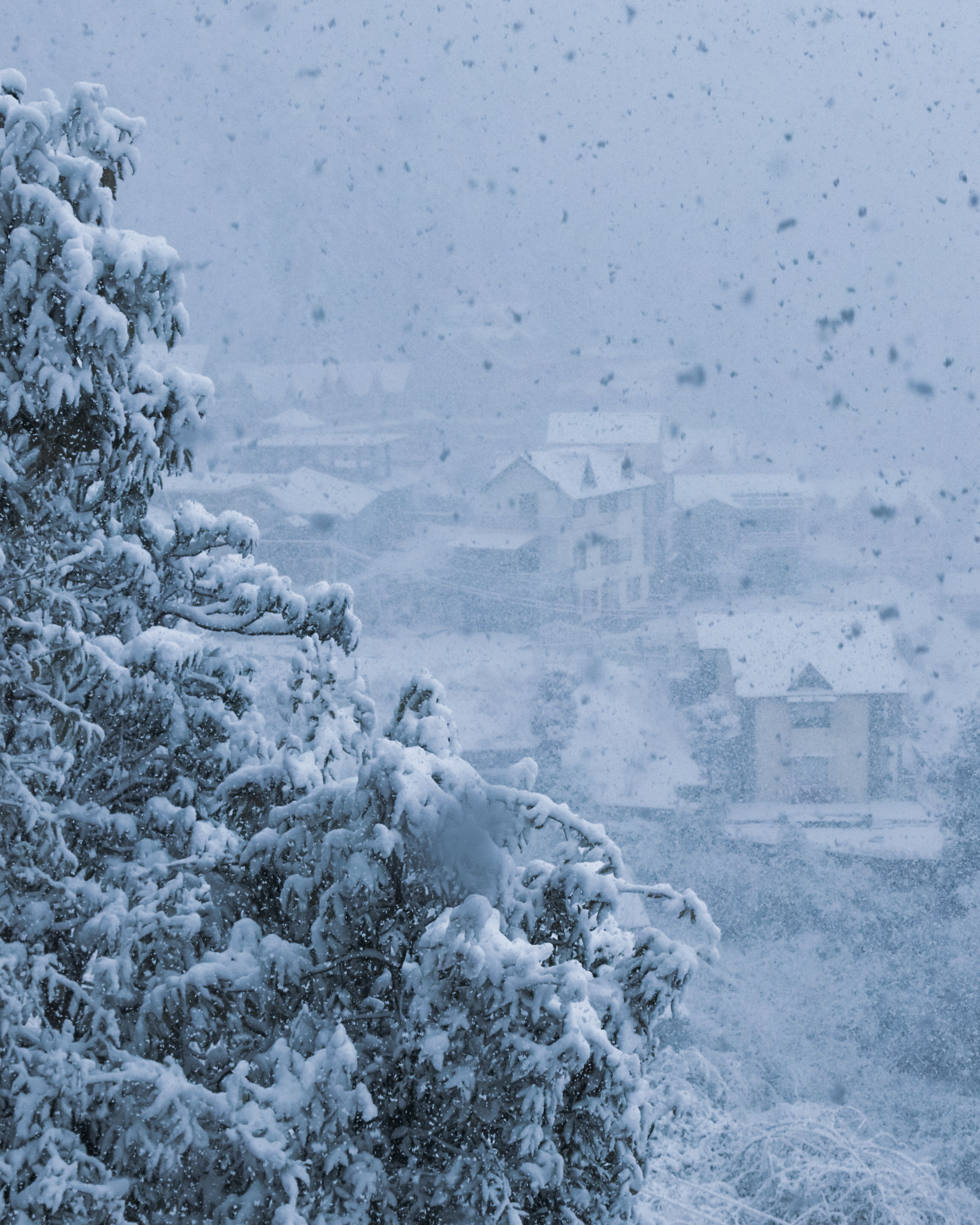 Winter