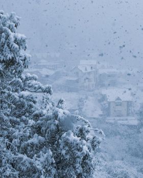 Snow photos